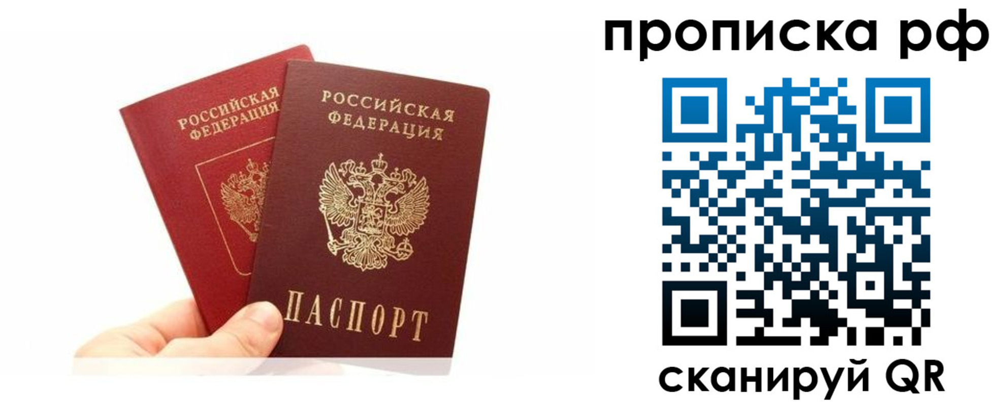 временная регистрация поиск в Долгопрудном
